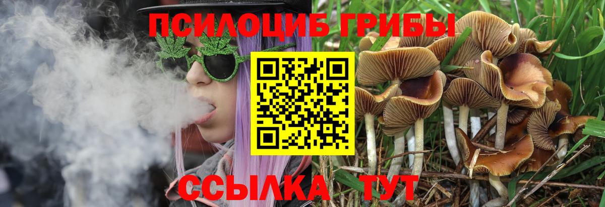 Барабинск  Псилоцибиновые грибы Magic Shrooms  Вход с VPN 