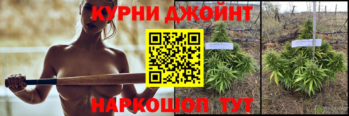 Марихуана конопля  Марихуана White Widow  Каннабис план  Барабинск  Вход с VPN 